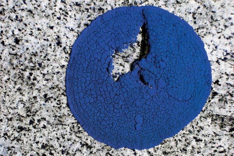 fff_exh2026_JessicaBackhaus_blue_note_2015_web