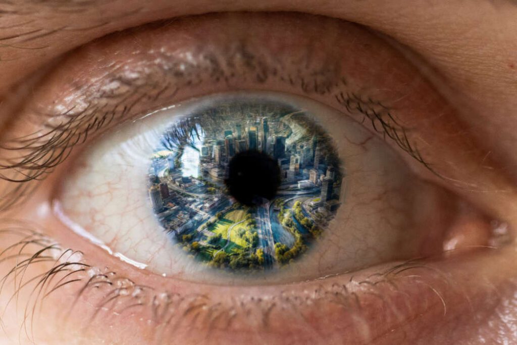 EIn Blick in die Außenwelt